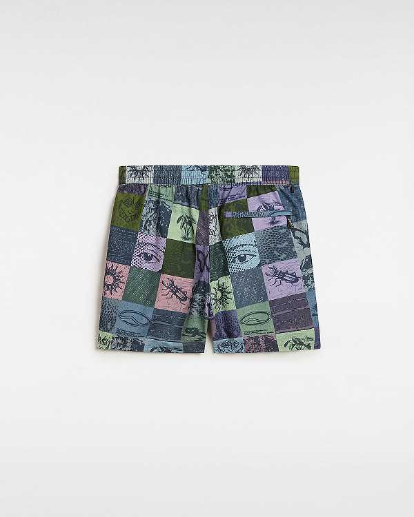 Men Vans Primary Solid Elastic Boardshorts Multicolor Malaysia | VN6250734