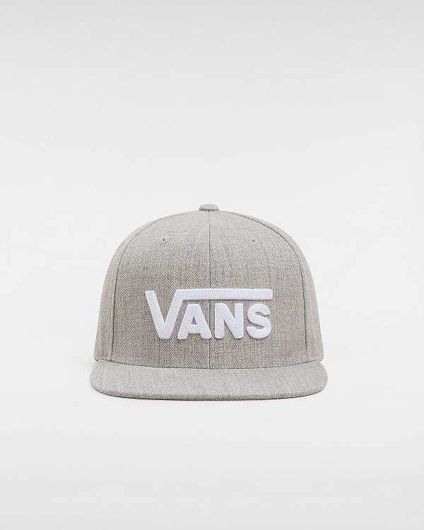 Unisex Vans Drop V Hats Grey Malaysia | VN3154972