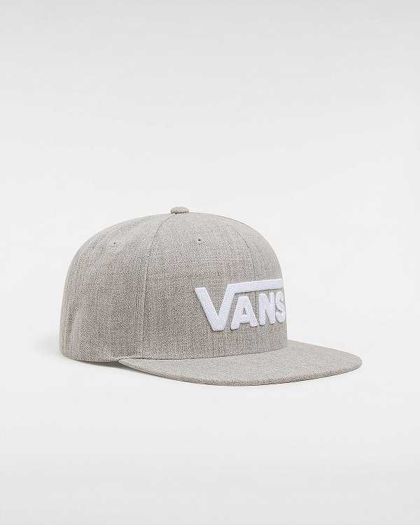 Unisex Vans Drop V Hats Grey Malaysia | VN3154972